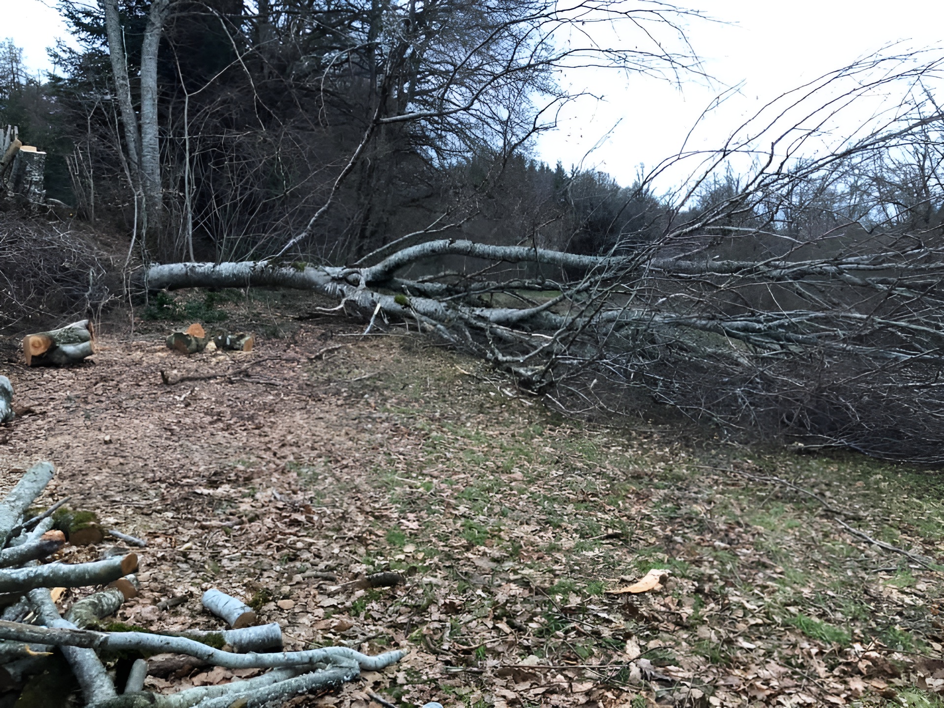 Travaux agricoles saint exupery les roches
