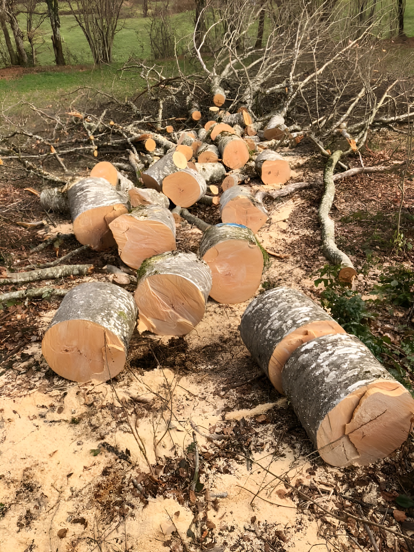 Travaux agricoles saint exupery les roches
